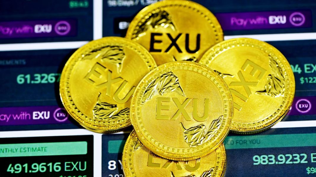 Australian Crypto Exchange Shuts Down, Enters Liquidation